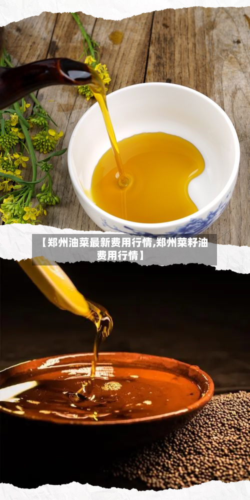 【郑州油菜最新费用行情,郑州菜籽油费用行情】