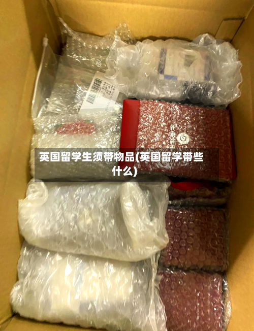 英国留学生须带物品(英国留学带些什么)-第2张图片