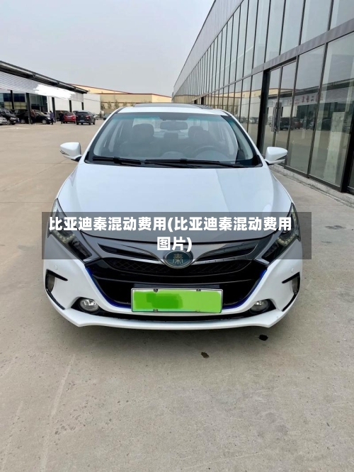 比亚迪秦混动费用(比亚迪秦混动费用图片)
