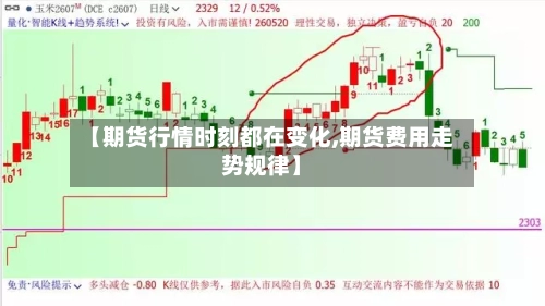 【期货行情时刻都在变化,期货费用走势规律】-第2张图片
