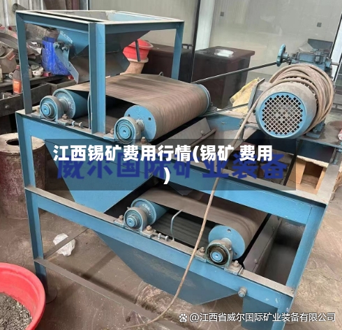 江西锡矿费用行情(锡矿 费用)