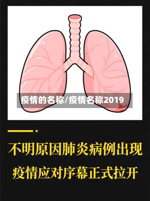 疫情的名称/疫情名称2019