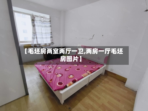 【毛坯房两室两厅一卫,两房一厅毛坯房图片】-第3张图片