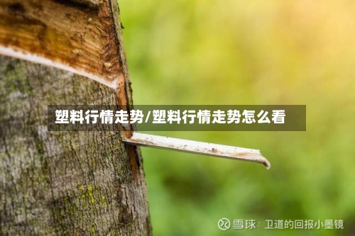 塑料行情走势/塑料行情走势怎么看