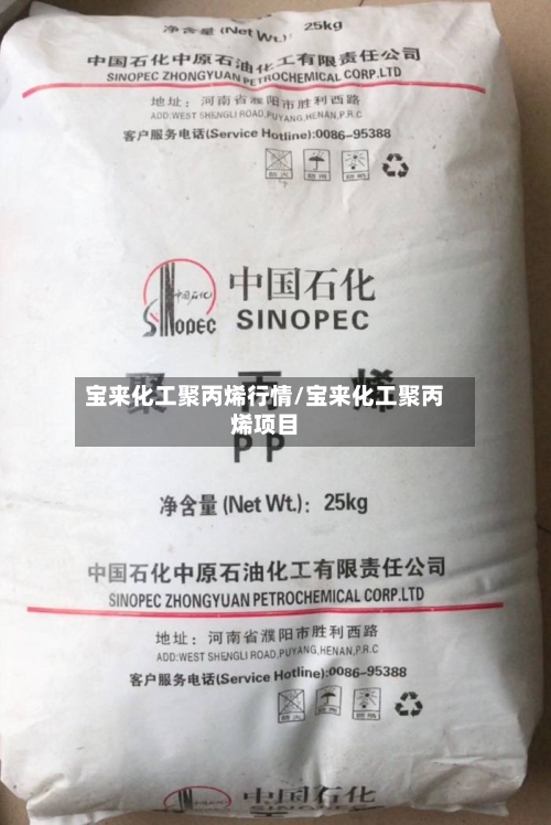 宝来化工聚丙烯行情/宝来化工聚丙烯项目