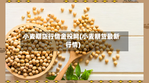 小麦期货行情金投网(小麦期货最新行情)