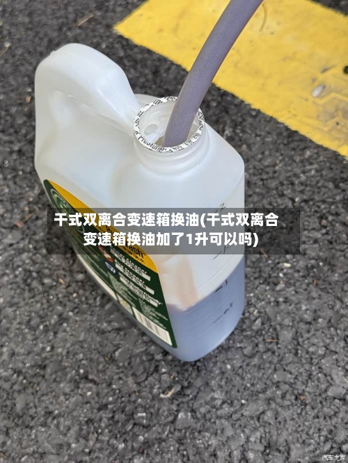 干式双离合变速箱换油(干式双离合变速箱换油加了1升可以吗)