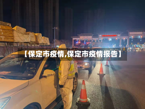 【保定市疫情,保定市疫情报告】-第2张图片