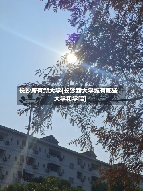 长沙所有新大学(长沙新大学城有哪些大学和学院)