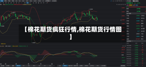 【棉花期货疯狂行情,棉花期货行情图】-第2张图片