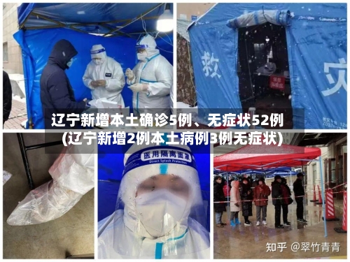 辽宁新增本土确诊5例、无症状52例(辽宁新增2例本土病例3例无症状)