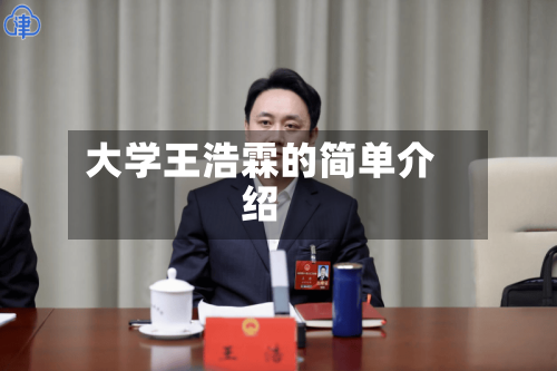大学王浩霖的简单介绍-第3张图片