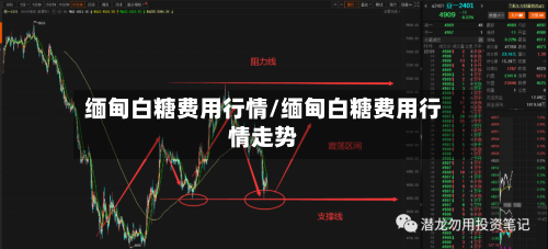 缅甸白糖费用行情/缅甸白糖费用行情走势-第2张图片