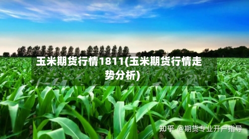 玉米期货行情1811(玉米期货行情走势分析)