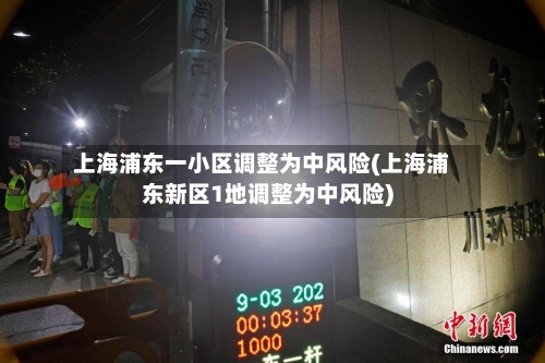 上海浦东一小区调整为中风险(上海浦东新区1地调整为中风险)-第2张图片