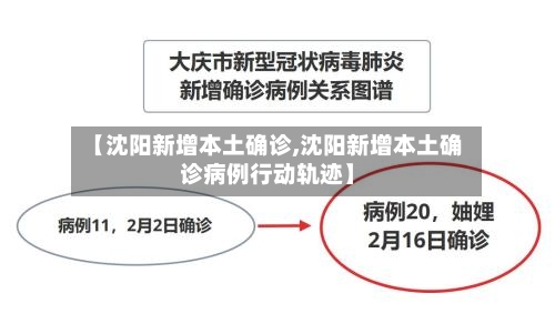 【沈阳新增本土确诊,沈阳新增本土确诊病例行动轨迹】