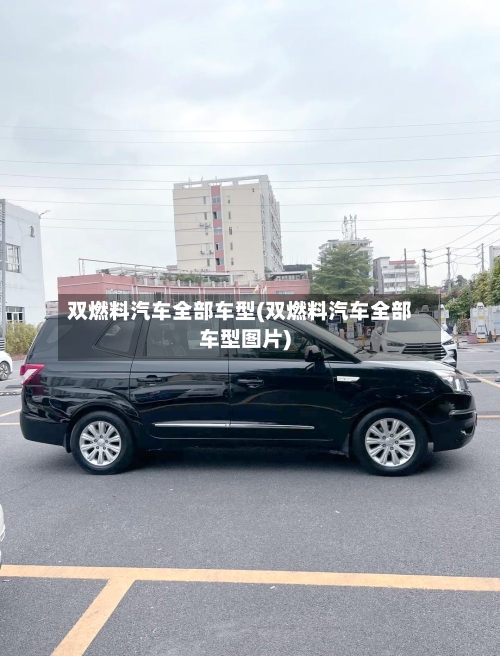 双燃料汽车全部车型(双燃料汽车全部车型图片)