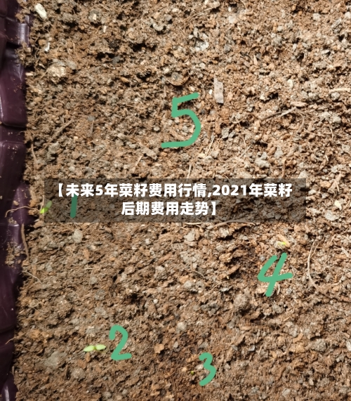 【未来5年菜籽费用行情,2021年菜籽后期费用走势】