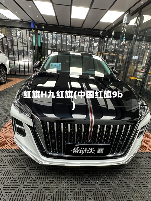 红旗H九红旗(中国红旗9b)