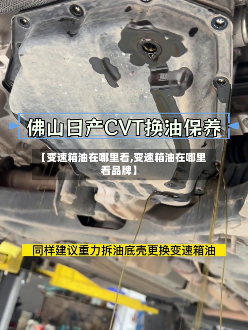 【变速箱油在哪里看,变速箱油在哪里看品牌】-第2张图片