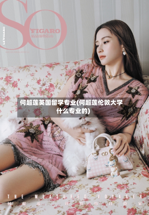 何超莲英国留学专业(何超莲伦敦大学什么专业的)-第2张图片