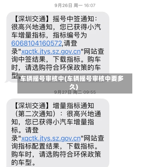 车辆摇号审核中(车辆摇号审核中要多久)