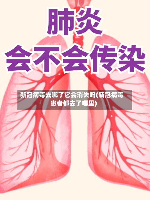 新冠病毒去哪了它会消失吗(新冠病毒患者都去了哪里)-第2张图片