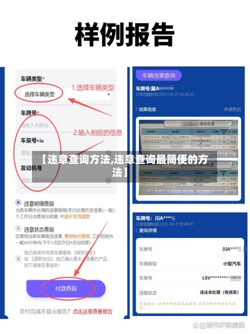 【违章查询方法,违章查询最简便的方法】
