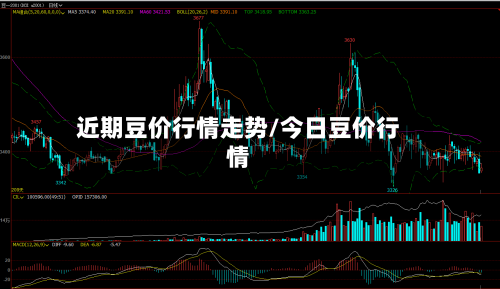 近期豆价行情走势/今日豆价行情