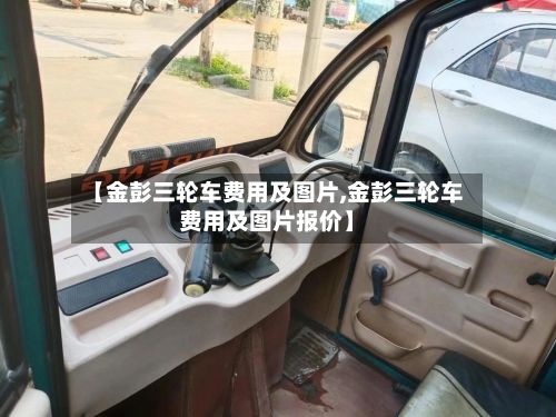 【金彭三轮车费用及图片,金彭三轮车费用及图片报价】-第2张图片