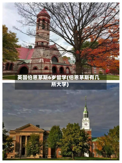 英国伯恩茅斯6岁留学(伯恩茅斯有几所大学)-第3张图片