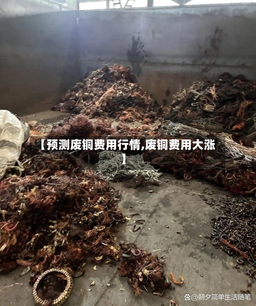 【预测废铜费用行情,废铜费用大涨】-第2张图片