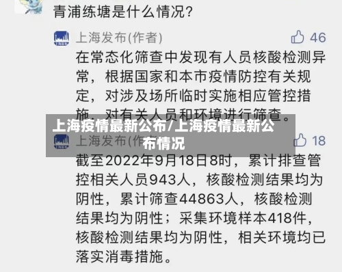 上海疫情最新公布/上海疫情最新公布情况-第2张图片