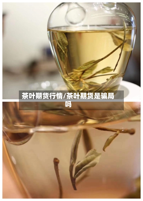 茶叶期货行情/茶叶期货是骗局吗-第2张图片