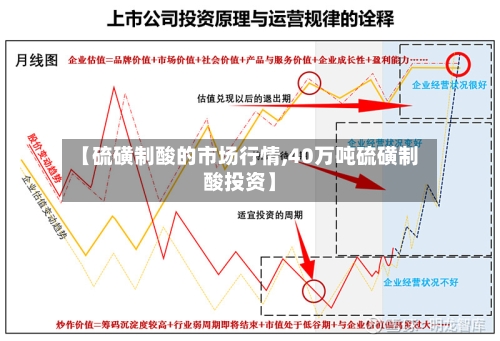 【硫磺制酸的市场行情,40万吨硫磺制酸投资】-第2张图片