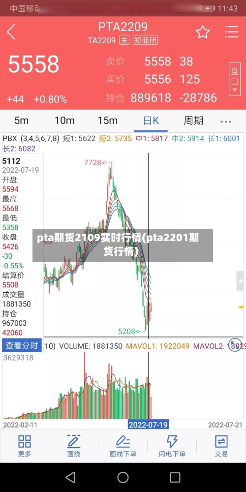 pta期货2109实时行情(pta2201期货行情)-第2张图片