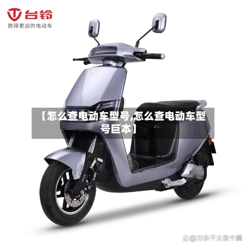 【怎么查电动车型号,怎么查电动车型号巨本】-第2张图片