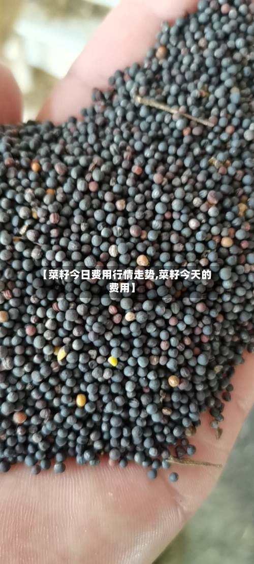 【菜籽今日费用行情走势,菜籽今天的费用】