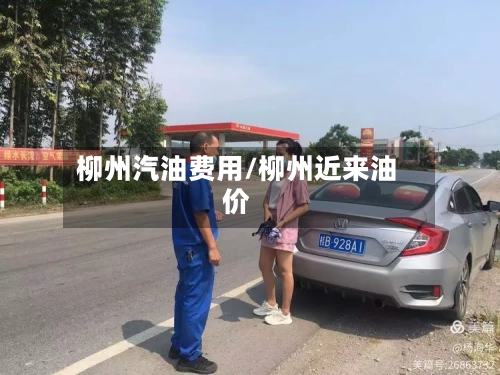 柳州汽油费用/柳州近来油价-第3张图片