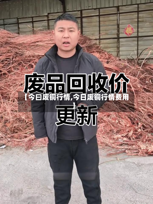 【今曰废铜行情,今日废铜行情费用】-第3张图片