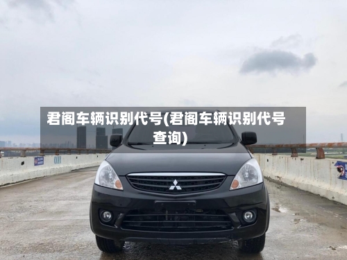 君阁车辆识别代号(君阁车辆识别代号查询)-第2张图片