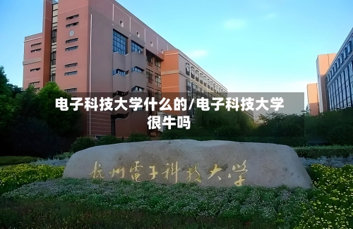 电子科技大学什么的/电子科技大学很牛吗
