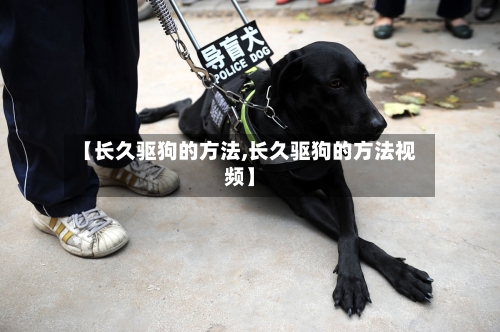 【长久驱狗的方法,长久驱狗的方法视频】-第2张图片