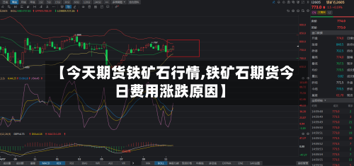 【今天期货铁矿石行情,铁矿石期货今日费用涨跌原因】-第3张图片