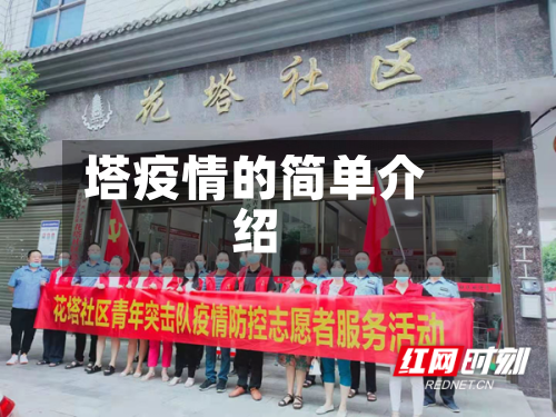 塔疫情的简单介绍