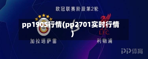 pp1905行情(pp2701实时行情)-第2张图片