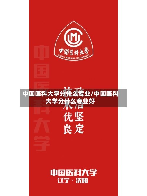 中国医科大学分什么专业/中国医科大学分什么专业好-第3张图片