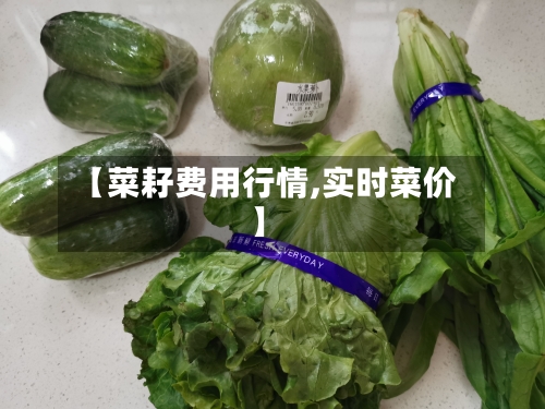 【菜耔费用行情,实时菜价】-第3张图片