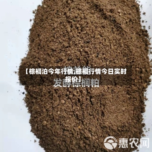 【棕榈泊今年行情,棕榈行情今日实时报价】-第2张图片