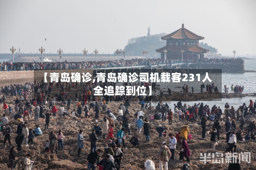 【青岛确诊,青岛确诊司机载客231人全追踪到位】-第2张图片